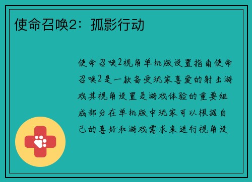 使命召唤2：孤影行动
